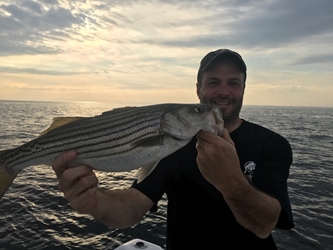 Striper Topwater Kit  